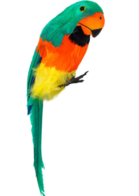 perroquet de pirate, perroquet décoration tropicale, perroquet en plumes, Perroquet avec Plumes Vertes
