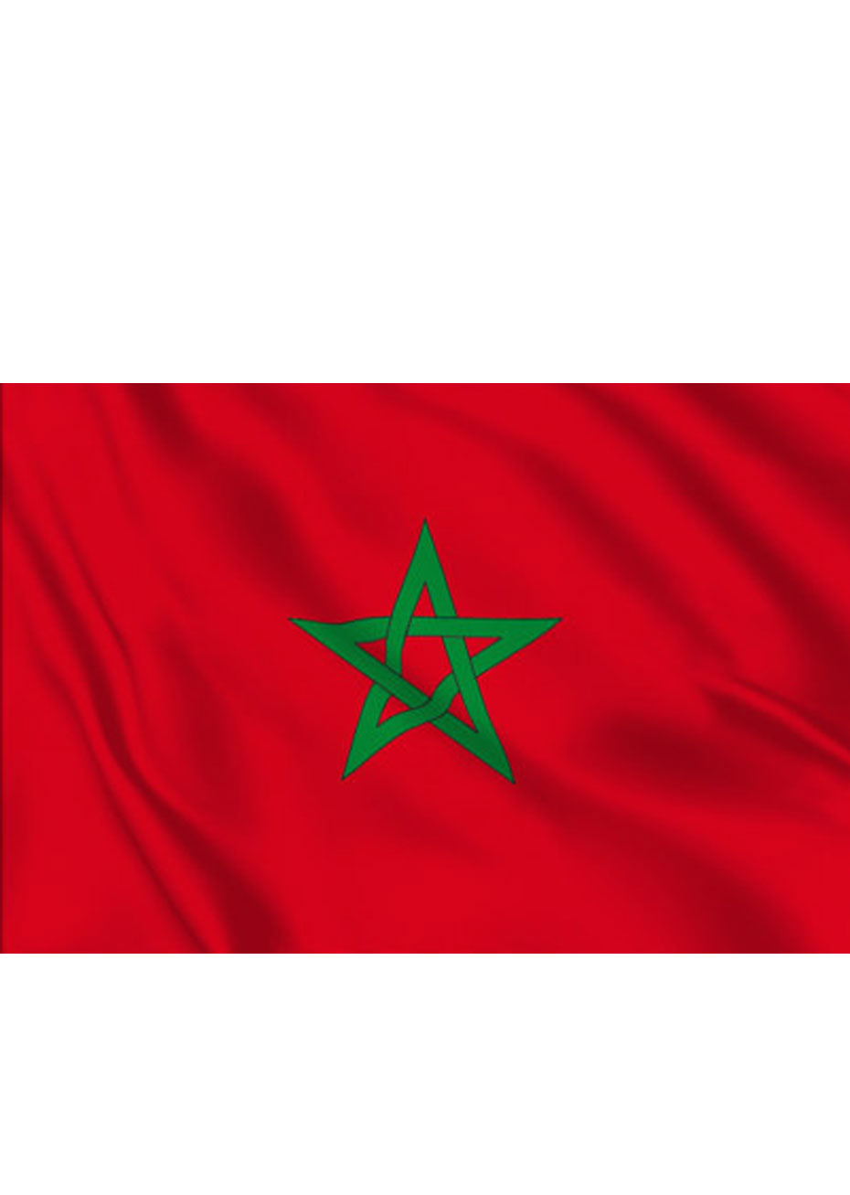 Drapeau du Maroc, 90 x 150 cm - Aux Feux de la Fête - Paris