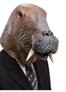 masque de morse, masque animal, masques animaux, masque animal latex, déguisement animal marin