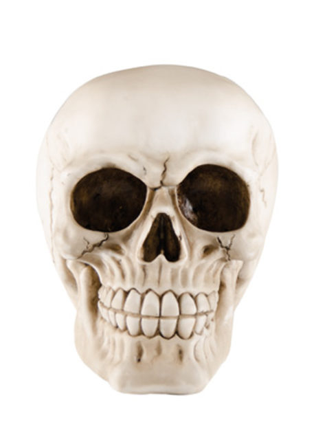 crâne en résine, décoration tête de mort, décoration halloween, décoration faux crâne, Faux Crâne, Tête de Mort en Résine, 14 cm