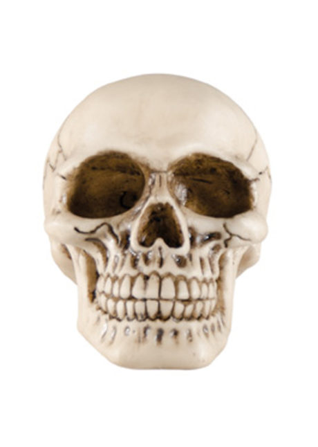 crâne en résine, décoration tête de mort, décoration halloween, décoration faux crâne, Faux Crâne, Tête de Mort en Résine, 11 cm
