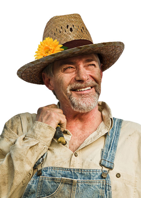 chapeau de paille, chapeau jardinier, chapeau fleur, Chapeau de Jardinier en Paille, avec Fleur Jaune