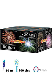 feu d'artifice pour particulier, achat feux d'artifice, feux d'artifices pour jardin, feu d'artifice automatique