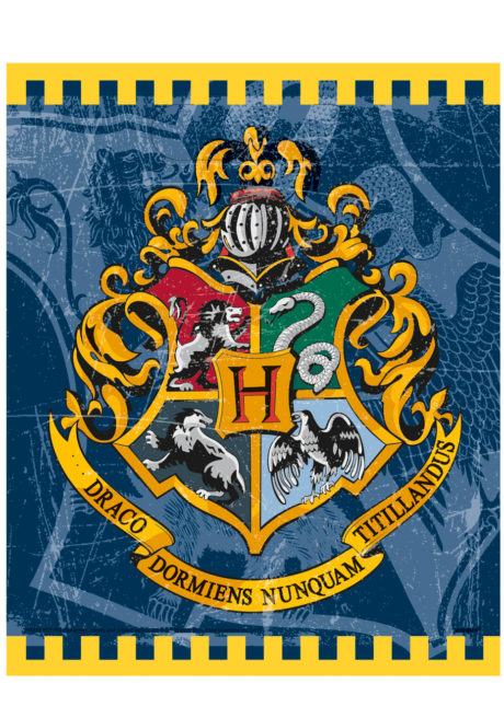 sachets cadeaux Harry Potter, anniversaire Harry Potter, sacs cadeaux Harry Potter, Sachets Cadeaux Harry Potter