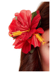 fleurs cheveux, fleur hawai cheveux