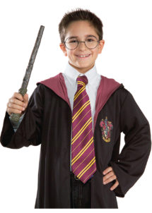 lunettes Harry Potter, baguette Harry Potter, accessoires Harry Potter, Kit Harry Potter, Baguette + Lunettes