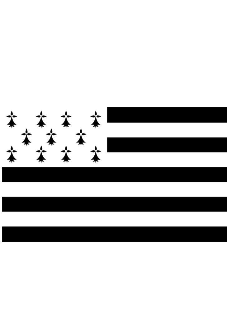 Écusson thermocollant Drapeau Breton / Bretagne / Breizh