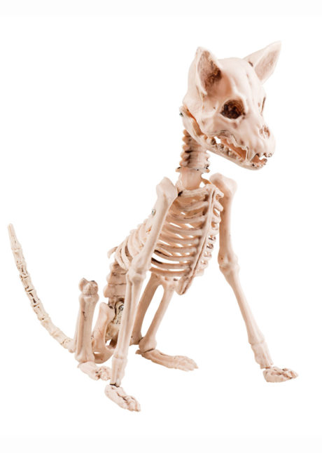 squelette de chien, décoration halloween, faux squelette de chien, squelette animal, accessoires halloween, faux squelette halloween, Squelette de Chien Assis