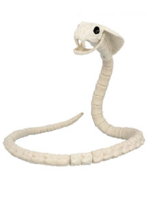 squelette de serpent, faux serpent halloween