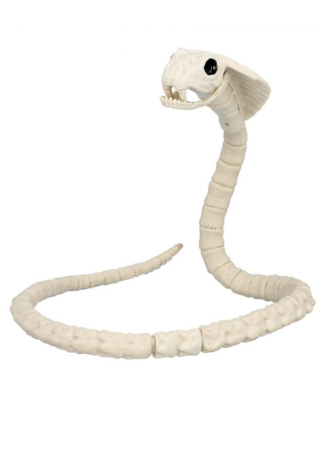 squelette de serpent, faux serpent halloween, Squelette de Serpent