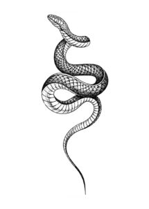 faux tatouages, tatouages temporaires, tatouage serpent, tatouage temporaire serpent