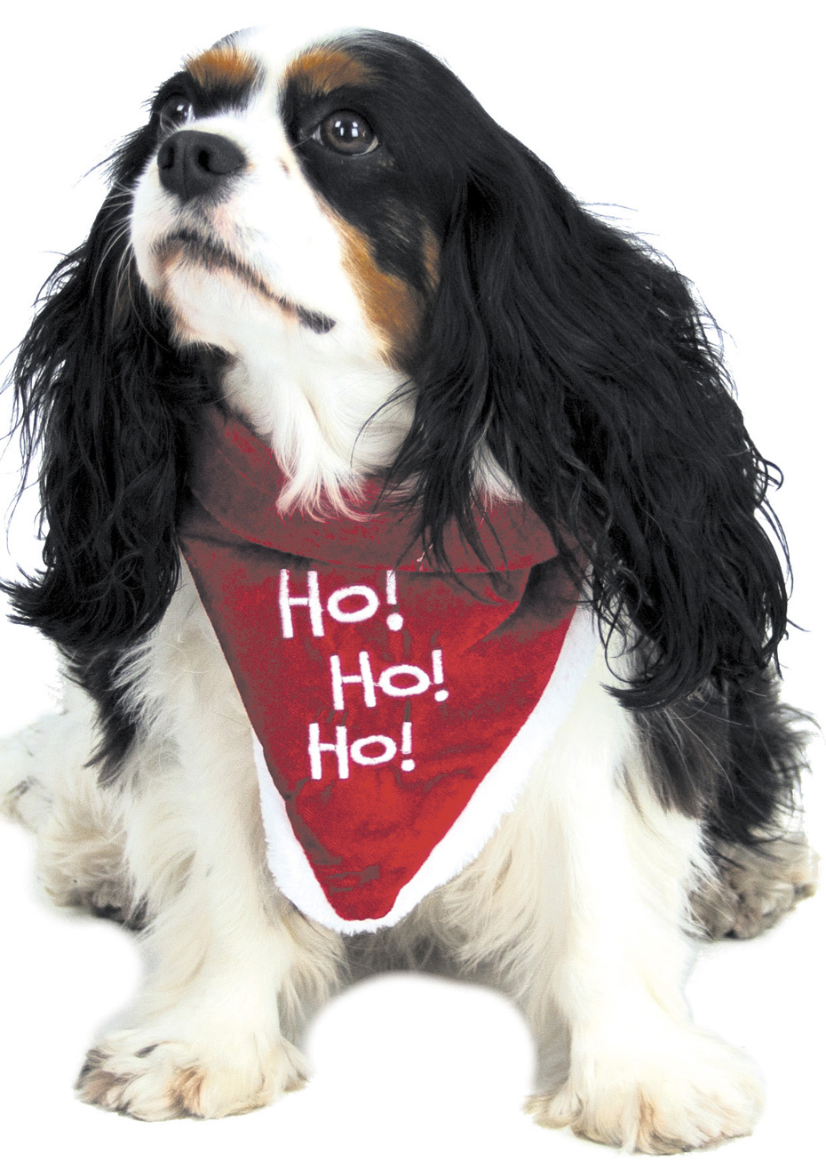 Collier Bandana de Noël pour Chien - Aux Feux de la Fête - Paris