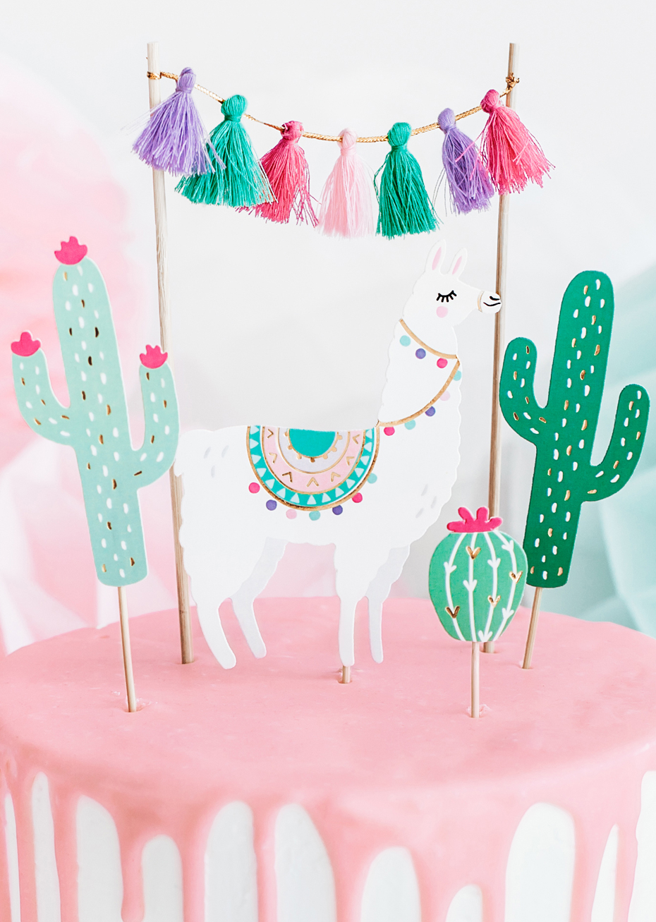 Decoration Gateaux Pics Apero Cactus Aux Feux De La Fete Paris
