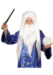 perruque de magicien enfant, perruque druide pour enfant, perruque magicien pour garçon, Perruque de Magicien + Barbe, Garçon