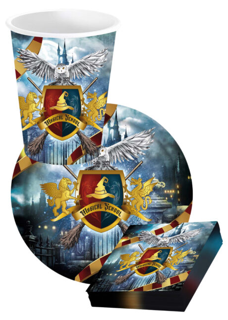 VAISSELLE-HARRY-POTTER-ANNIVERSAIRES, Vaisselle Harry Potter Sorciers, Gobelets