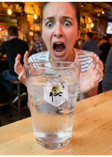 GLACON MOUCHE FARCE ET ATTRAPE, faux glaçon avec mouche, Faux Glaçon avec Mouche – Farce et Attrape