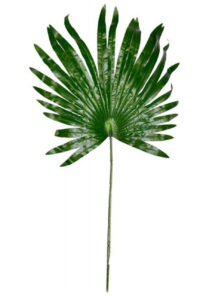 feuille de palmier, feuille tropicale, décorations tropicales, décorations hawaïennes