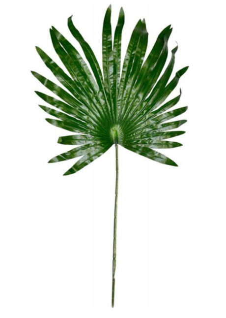 feuille de palmier, feuille tropicale, décorations tropicales, décorations hawaïennes, Feuille de Palmier Décorative, 68 cm