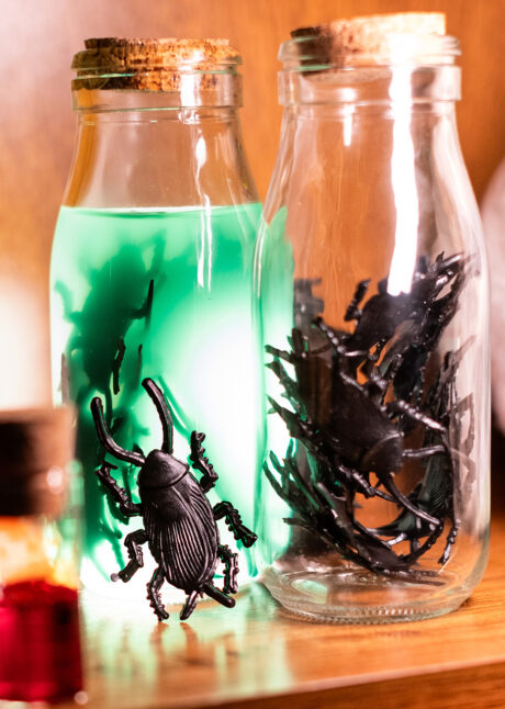 faux cafards, insectes Halloween, fausses blattes, Faux Cafards x 12