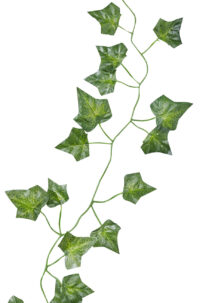 décoration lierre, feuillage, décorations florales, ginger ray