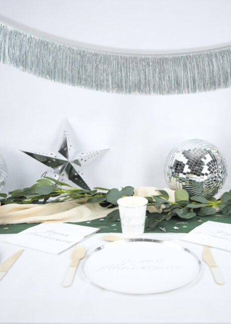 guirlande à franges, guirlande argent, guirlande rideaux lamés, Guirlande à Franges Argentées