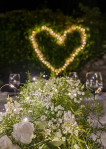 guirlande led, guirlande de noël, guirlande micro led, guirlande led blanc chaud