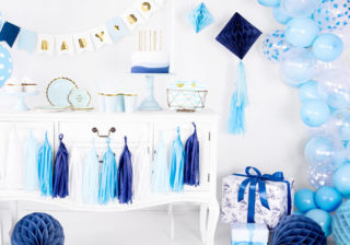 Soirée déguisement déco Baby Shower et Gender Reveal