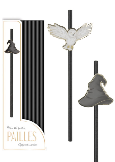 Harry potter, pailles en carton, pailles pour anniversaire, pailles pour goûters d'anniversaire, décorations sorciers, Vaisselle Harry Potter, Pailles Jetables, Chapeau et Chouette de Sorcier