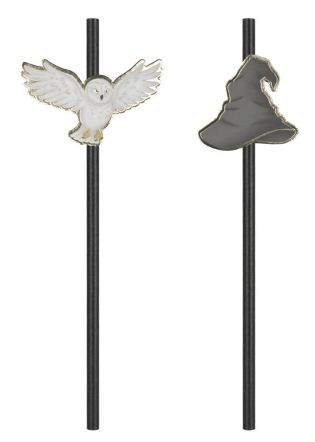 Harry potter, pailles en carton, pailles pour anniversaire, pailles pour goûters d'anniversaire, décorations sorciers, Vaisselle Harry Potter, Pailles Jetables, Chapeau et Chouette de Sorcier