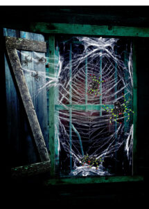 araignées, toile d'araignée, spiderweb, fausses araignées