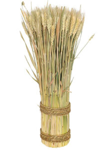 bouquet de blés, fleurs séchées, pampas, épis de blé décoration, décorations fleurs séchées, bouquet épis de blé, Bouquet de Blé Séché, 50 cm