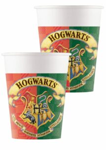 gobelets Harry Potter, anniversaire harry potter, vaisselle harry potter