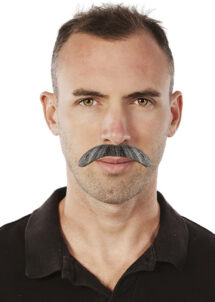 moustache grise, moustaches, postiches, fausses moustaches, Moustache Grise, Années 60