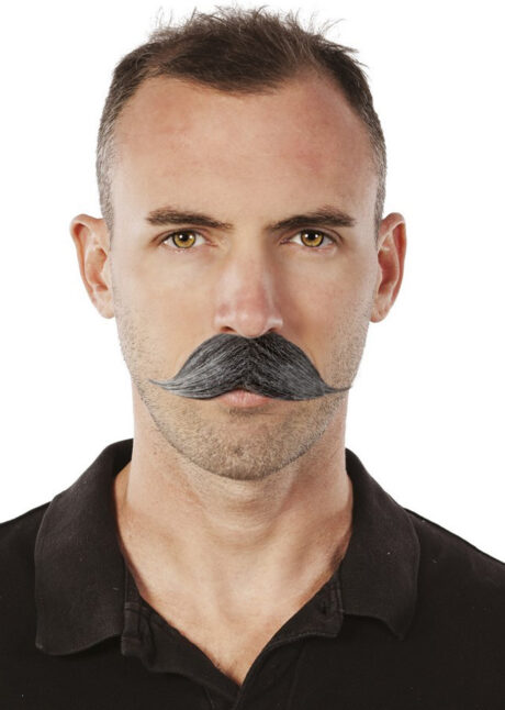 moustache grise, fausse moustache, postiche moustache, moustaches, Moustache Grise, Gentleman