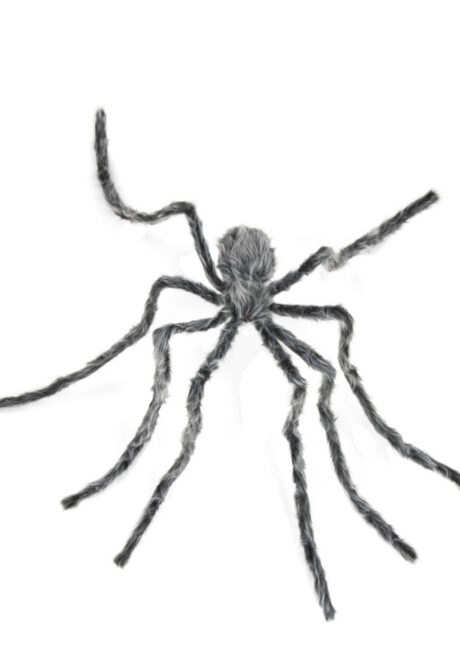 araignée Halloween, araignée géante, araignée XXL, Araignée Géante Velue, Grise, 230 cm