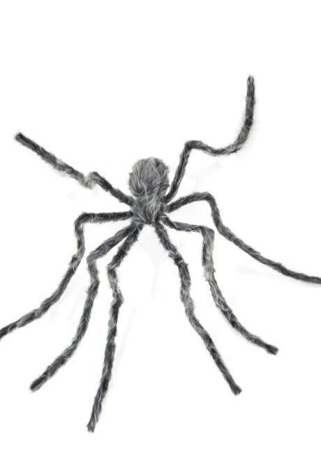 araignée Halloween, araignée géante, araignée XXL, Araignée Géante Velue, Grise, 230 cm