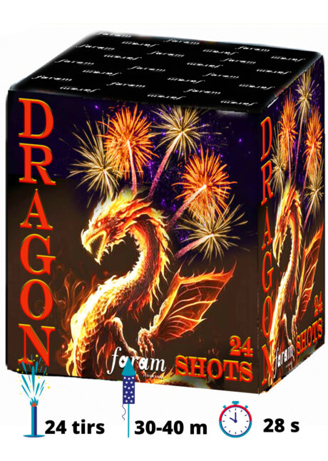 feu d'artifice compact, feu d'artifice pour particulier, disponible Aux Feux de la Fête à Paris, Feu d’Artifice Compact, Dragon
