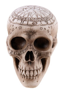 faux crâne esprits, faux crâne halloween, accessoire sorcellerie, Faux Crâne, Tête de Mort Forces Occultes