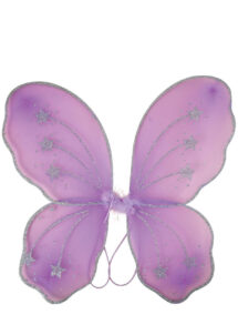 ailes de fée, ailes de papillon, ailes violettes de fée