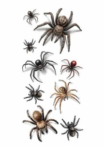 faux tatouages araignées, tatouages araignées Halloween, Faux Tatouages Araignées Réalistes – Effet 3D
