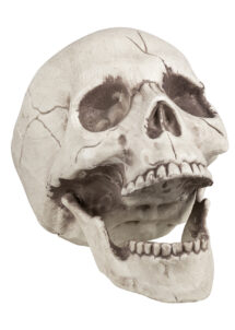 tête de mort décoration, faux crâne décorations halloween, tête de mort mâchoire mobile, décos halloween, Faux Crâne, Tête de Mort, Mâchoire Mobile