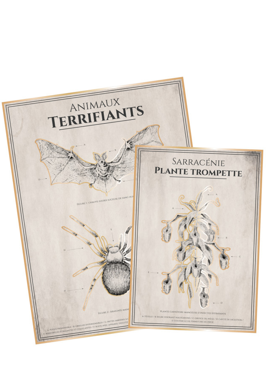 affiches anatomie animale halloween, affiches cabinet de curiosités
