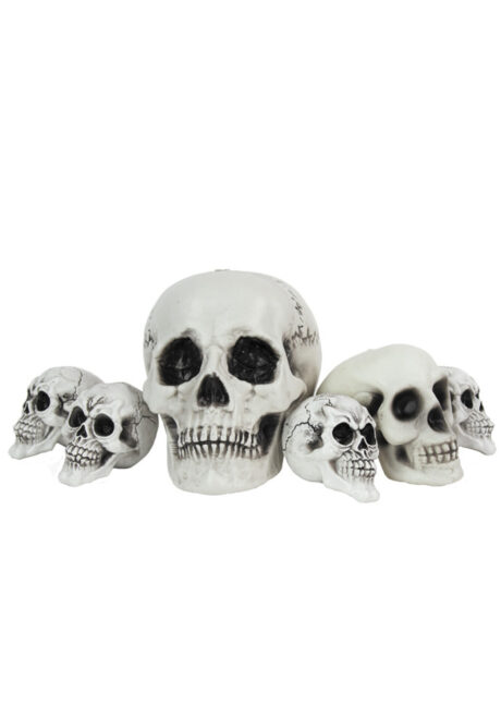 faux crânes, têtes de mort, décos halloween, Faux Crâne, Tête de Mort, Ensemble 6 Pièces
