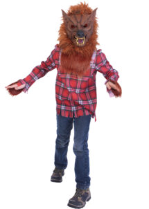 déguisement de loup garou, costume de loup enfant, déguisement loup enfant, déguisement halloween, Déguisement de Loup Garou, avec Masque, Garçon