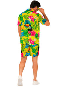 déguisement Hawaï, chemise hawaïenne, déguisement tropical homme