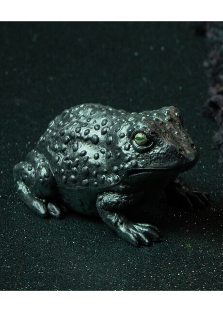 crapaud Halloween, crapaud sorcière, crapaud déco Halloween, Crapaud en Gomme, Vert de Gris Irisé
