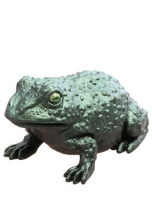 crapaud Halloween, crapaud sorcière, crapaud déco Halloween