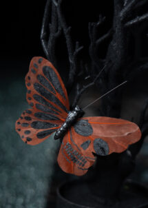 pince papillon, accessoire papillon, déco papillon, papillon Halloween