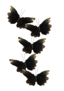 pince papillon, accessoire papillon, déco papillon, accessoire Halloween
