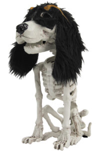 squelette de chien déco Halloween, squelette chien Halloween
